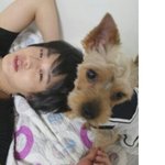 ★슈스케3의 김민석군의 강아지를 찾습니다★