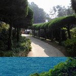 ★★(사진有)거<b>제도</b>의힘을보여줘~!★★