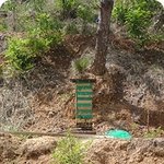 [춘식이] [사진첩<b>st</b>] 나도 벌판 쓰기 가능?? :)