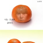 (<b>슈주</b>엽짤)조귤현.jpg