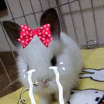 사진有. 군인 남자친구에게 예약문자 우두두두