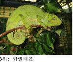 ☆★☆세상에서가장<b>찾기</b>힘든것☆★☆