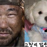 고창석 닮은개 ㅋㅋㅋㅋㅋ