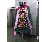 <b>사위</b>사랑은 장모라더니...