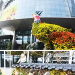 [후기] 코엑스에서 열리는 서울 국제 유아교육전 박람회 관람하고...