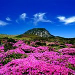 ★★세계 7대 경관 투표>제주도가 26위래요 ㅠㅠ★★