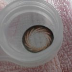 사진有!! 써클렌즈의 실체 !!