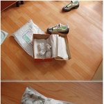 ●[펌]나x키<b>신발</b>을샀습니다.....그런데.ㅋㅋㅋㅋ.●
