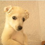 좋아하는여자가 좋은사진 보냄 54 55