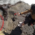 (수정)★※★제주도바다에음식물쓰레기버린무개념★※★