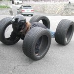 드뎌 <b>오픈카</b>를 하나 장만 했습니다.