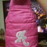 울산 남구 달동 강아지