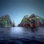 짧지만 빵터지는 일본 짤들 <b>설문</b>조사