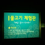 [사진대량有,영상有] 25살 남자 혼자서 하는 1박2일 대전여행기...