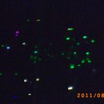 ★★★<b>농심</b>사랑나눔콘서트후기★★★