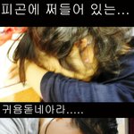★★★★★tpd, 가장 찬란한 순간 우리들은 하나였다ㅋㅋㅋㅋ★★★★★(스압주의有...