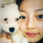주인 닮아 더 예쁜 <b>애견</b>과 아이돌들