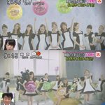 짧지만 빵터지는 일본 짤들59