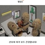 찌리짤님의 11탄의 <b>땅콩</b>