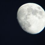 창조, <b>보존</b>, 그리고 혁신에 관한 정기우 하느님의 소고.