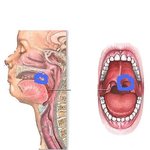 ★★★★(사진有)벌레<b>흡입</b>한 여고생들★★★★