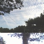 22세 흔녀, 나홀로 부산여행기!!! 당일여행!