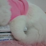 <b>미남</b>사마의 잠버릇!!!(사진有)