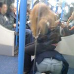 여친 생기면 이<b>정도쯤</b>은 해줄 수 있는데..