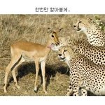 30대판<b>남자</b>들이<b>저런</b>,,?