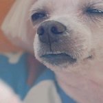 2012 수능보는 폭풍성장 아역배우 연예인~!