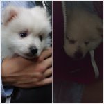 사고뭉치 사랑스러운 울 애기