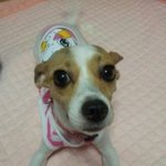 ★★★★사진有)우리집아가[개판스압]★★