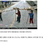 <b>대륙</b>의 아이들