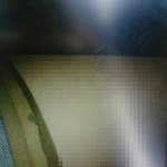★[사진有]공연 보다가 가위로 스타킹 자른 <b>중생</b>★