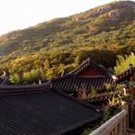 한국의 미 #1 외국인들이 보는 한국의 절~!