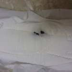 사진(有)기분나쁜생리대'위<b>xx</b>"