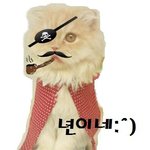 <b>성냥</b>팔이소녀고양이 년이 또왔어요 :^) 이번에도 안보시면 후회하실걸요~...