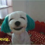 어제 소주는 <b>한잔</b>씩들 하셨습니까~