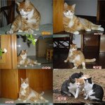 솔로의 <b>요일</b>별 표정ㅋㅋㅋ