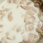 무뼈불<b>닭발</b>,, 최고의승리자 바니콩ㅋㅋ