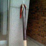 ★★★★사람만한 빼빼로(사진有)★★★★