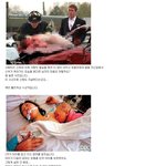 하루에한번 감동<b>짤방</b>58