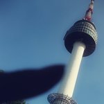 도시에서 자연을 찾다 in <b>남산</b>