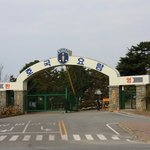 고깃집 서빙 공감