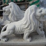 사진有) <b>짐승돌</b> vs 성인돌