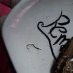 시장에서 사온 쥐포를 먹었는데..