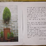 율마<b>화분</b>을 훔쳐간 도둑님과 이웃들에게 율마<b>화분</b> 주인아저씨가 쓰신...
