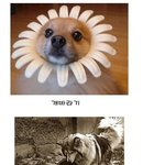 ●☆●☆●개시리즈 끝판왕●☆●☆●