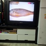 고양이앞에 <b>생선</b>