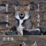 어느덧 25년차 솔로가 되어<b>가네</b>...